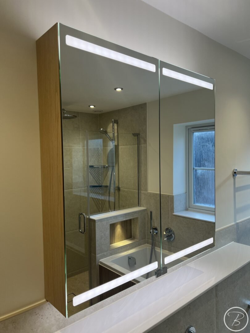 Mirror Cabinet
