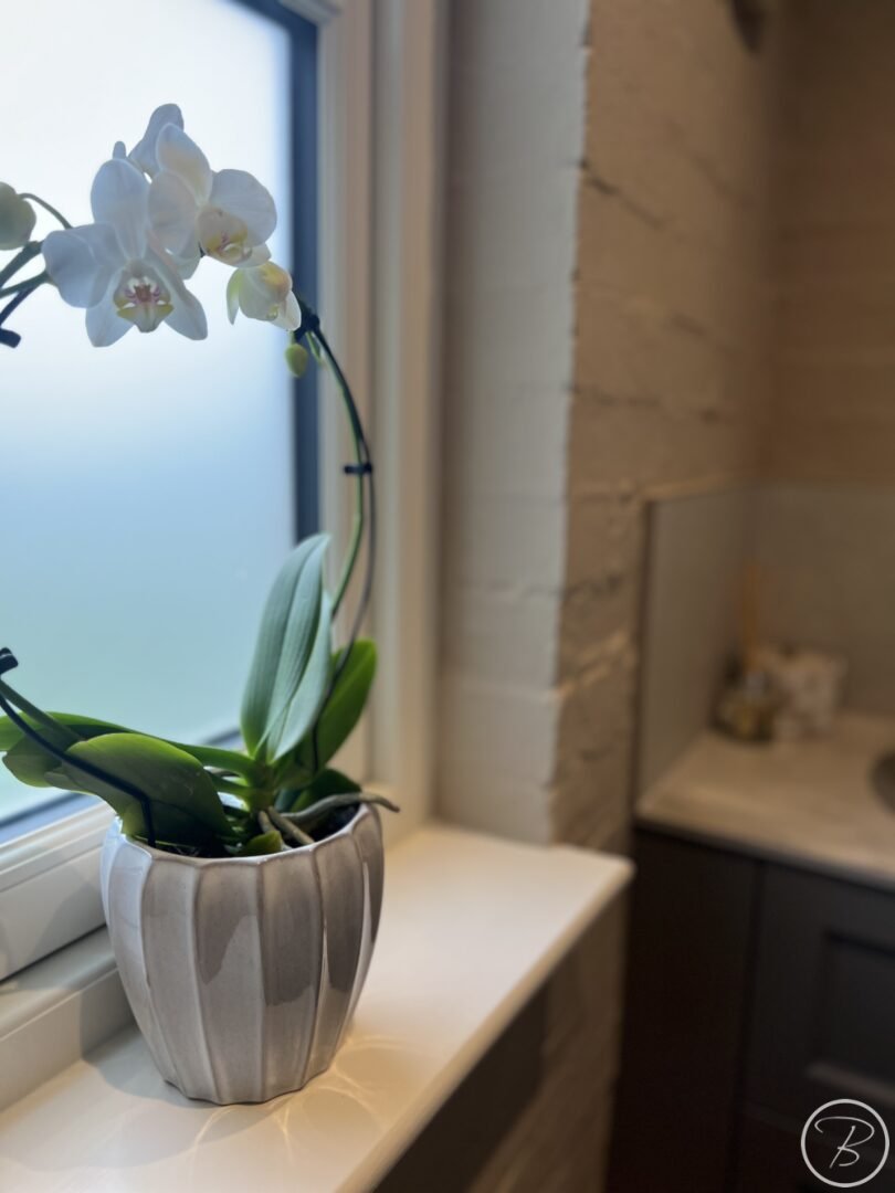 Orchids
