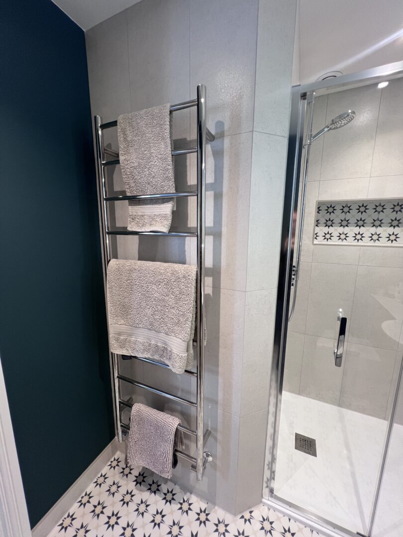 Towel Rail & Shower Door