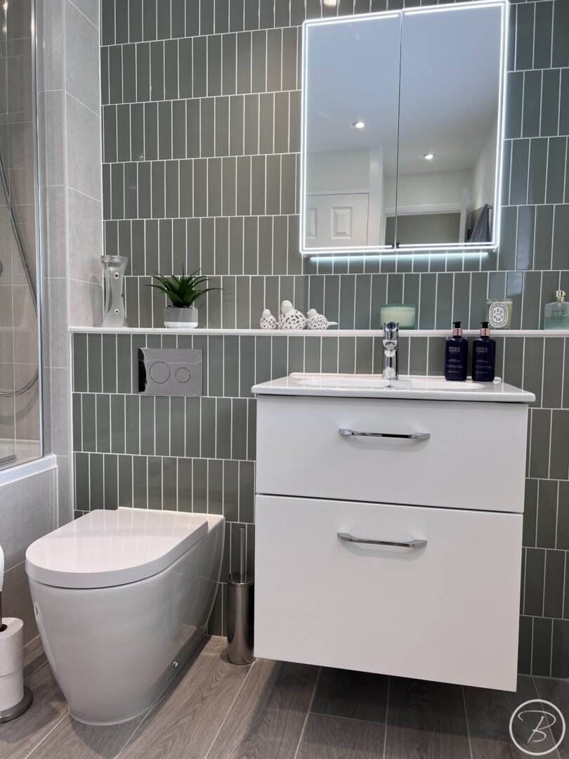 WC & Vanity Unit Close Up