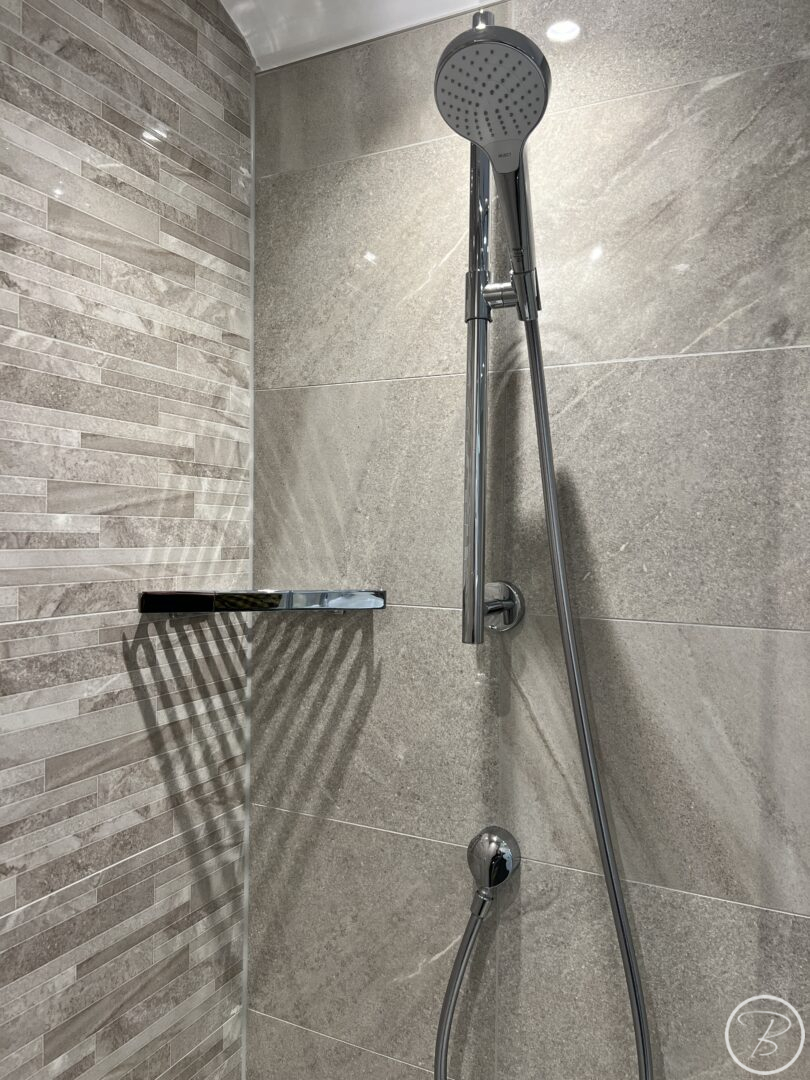 shower control